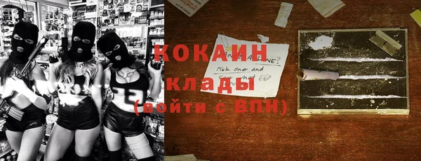 индика Алексеевка