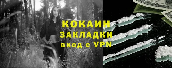 индика Алексеевка
