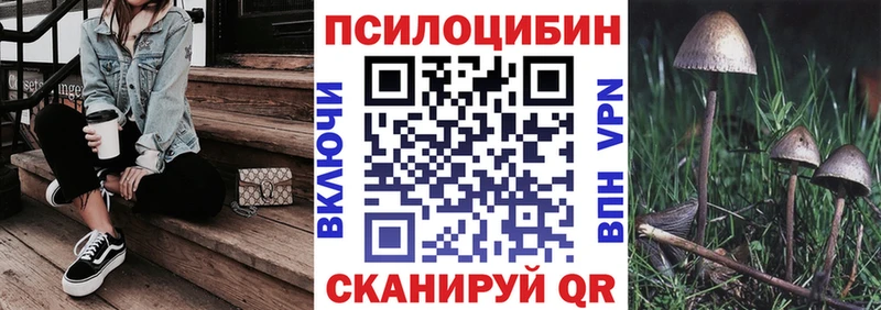 где купить   Армянск  Галлюциногенные грибы ЛСД 